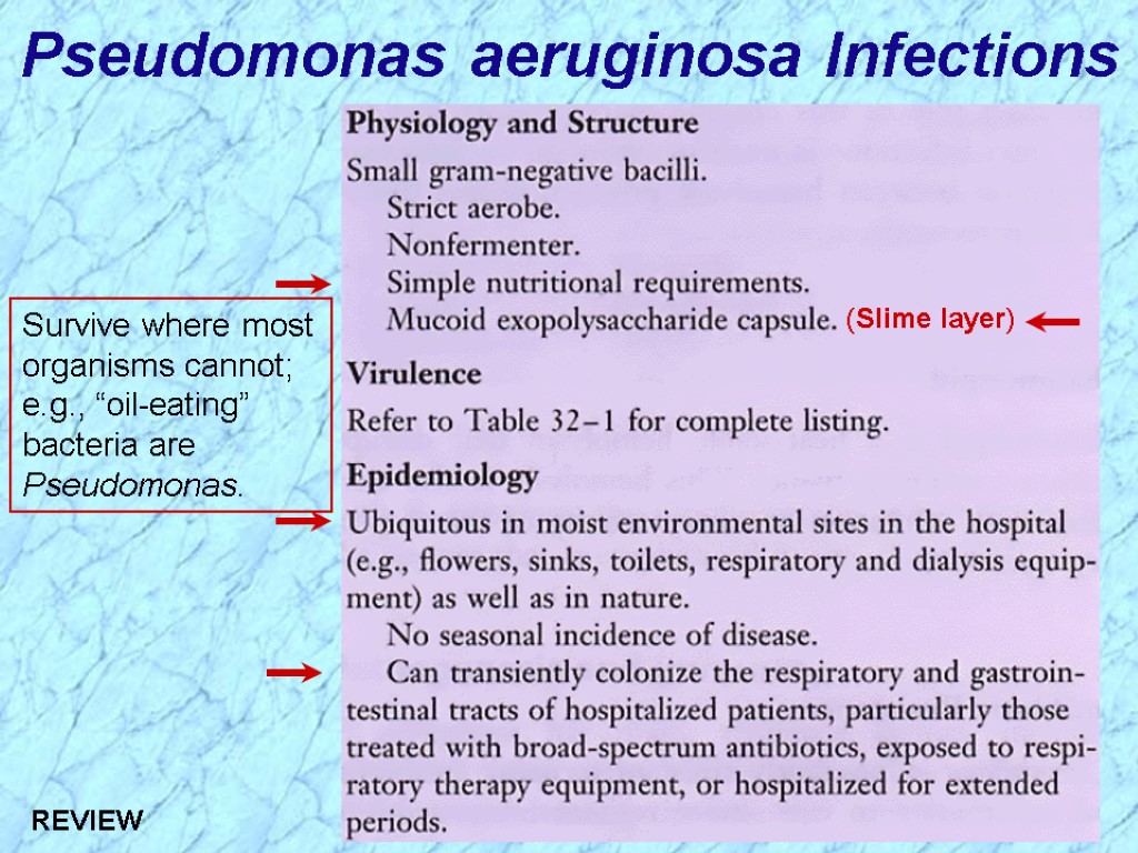 Pseudomonas aeruginosa Infections REVIEW